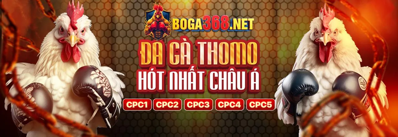 Nền tảng giải trí di động kv888 android